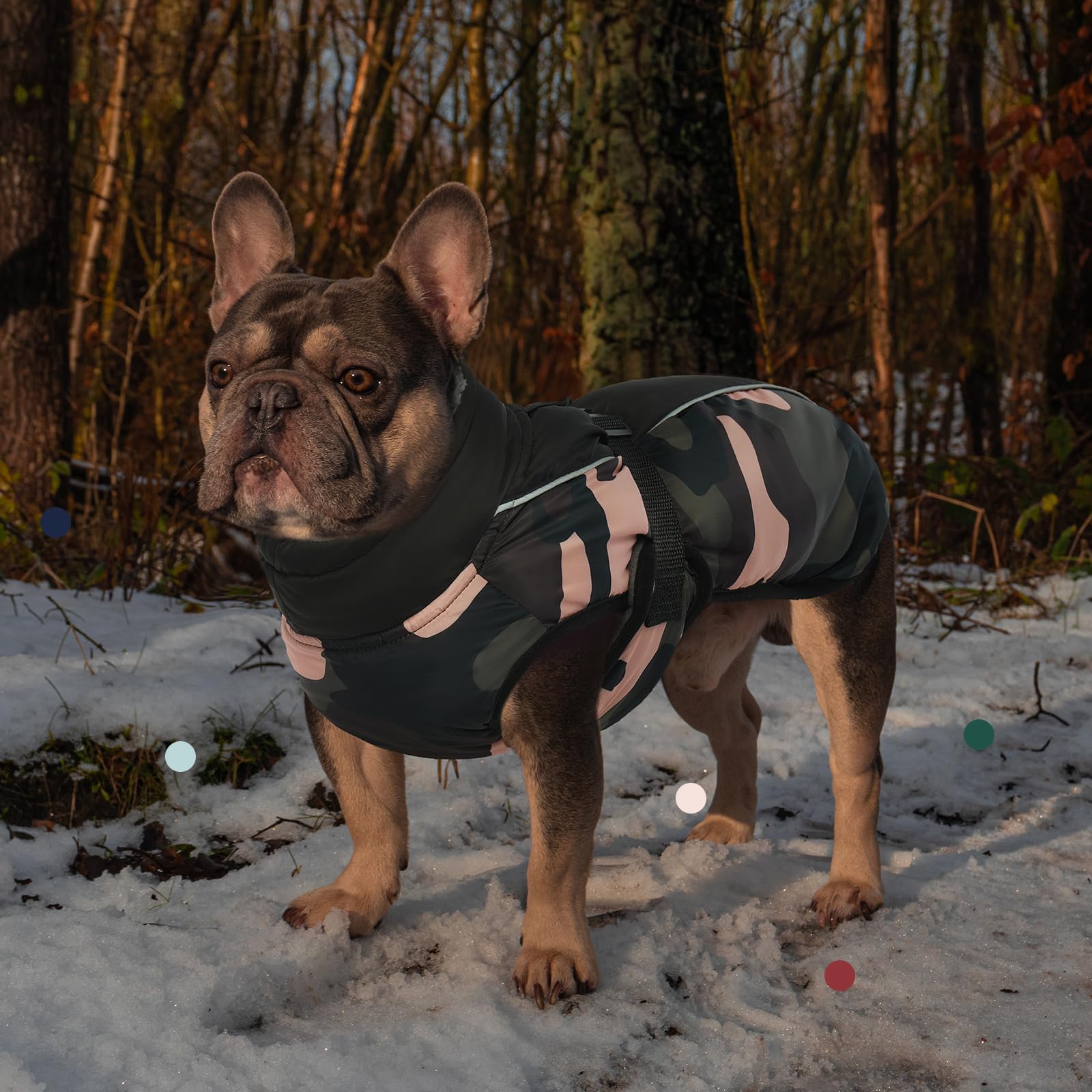 IECOii Abrigo extra cálido para perro, reflectante, ajustable, abrigo de invierno para perro con hebilla, chaqueta de forro polar con cuello alto para clima frío, abrigo de invierno suave para perros