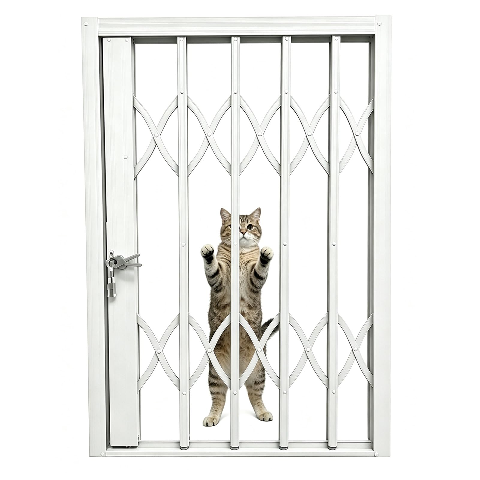 Barreaux de Sécurité Fenetre Grille de Sécurité Métallique pour Porte