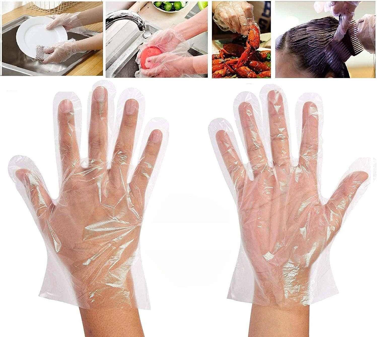 Rayhee 500 Pcs Plastic Disposable Gloves - Food Prep Gloves, Transparent, One Size Fits Most