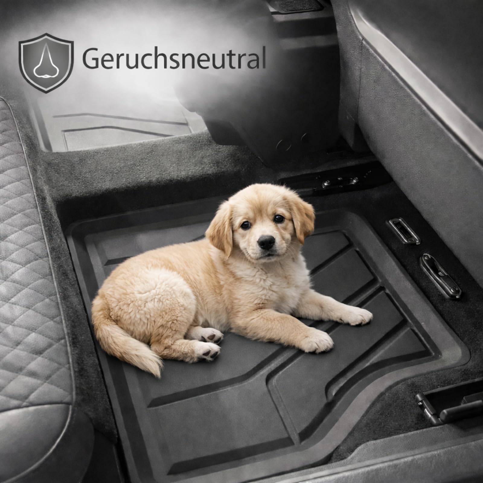 AD Gummifußmatten Set 4-teilig für Audi A3 8V, Seat Leon 5F, VW Golf 7 & 8
