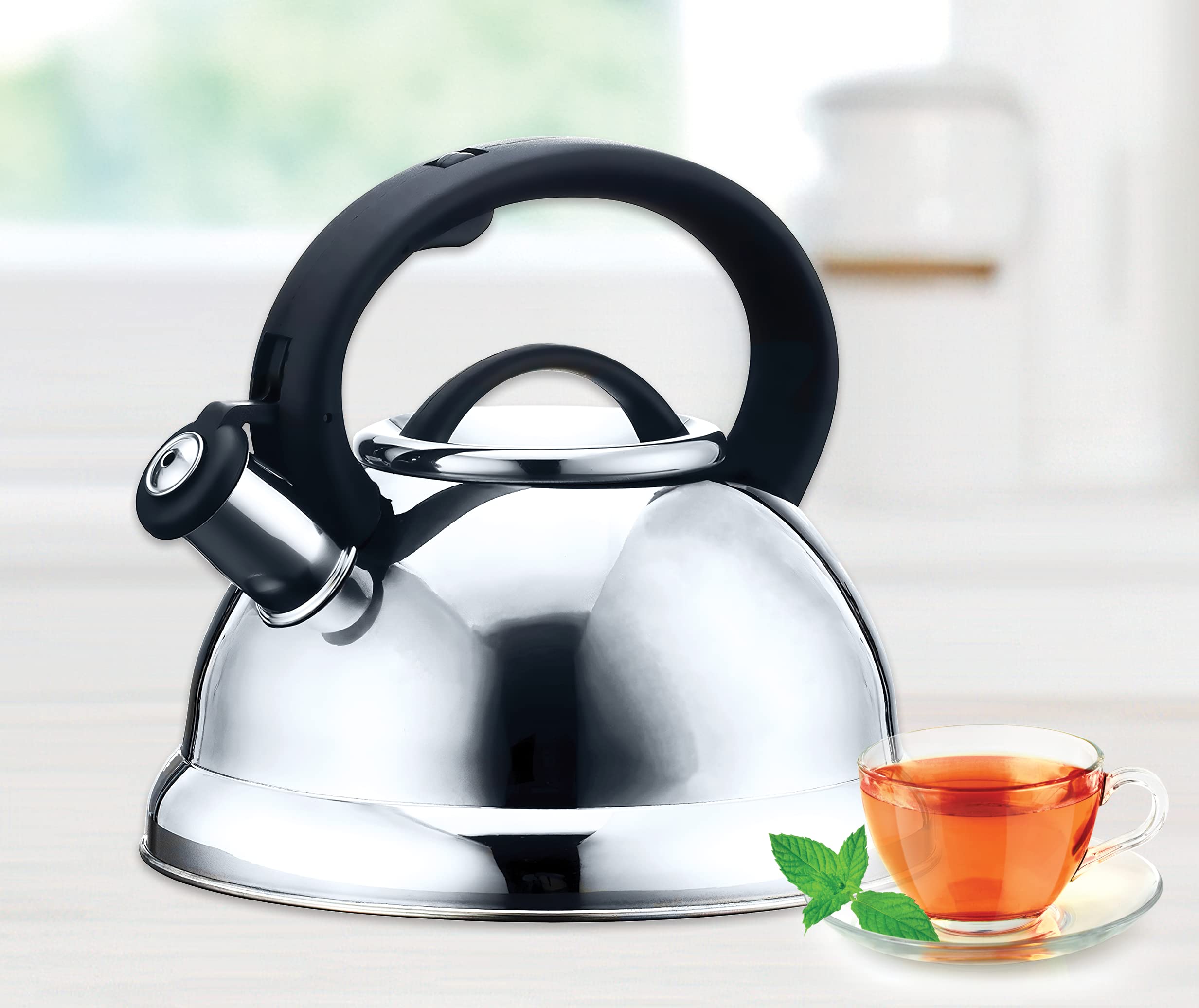 Amazon.com: EUROSTAR EK40 2.8L Stainless Steel Whistling Kettle