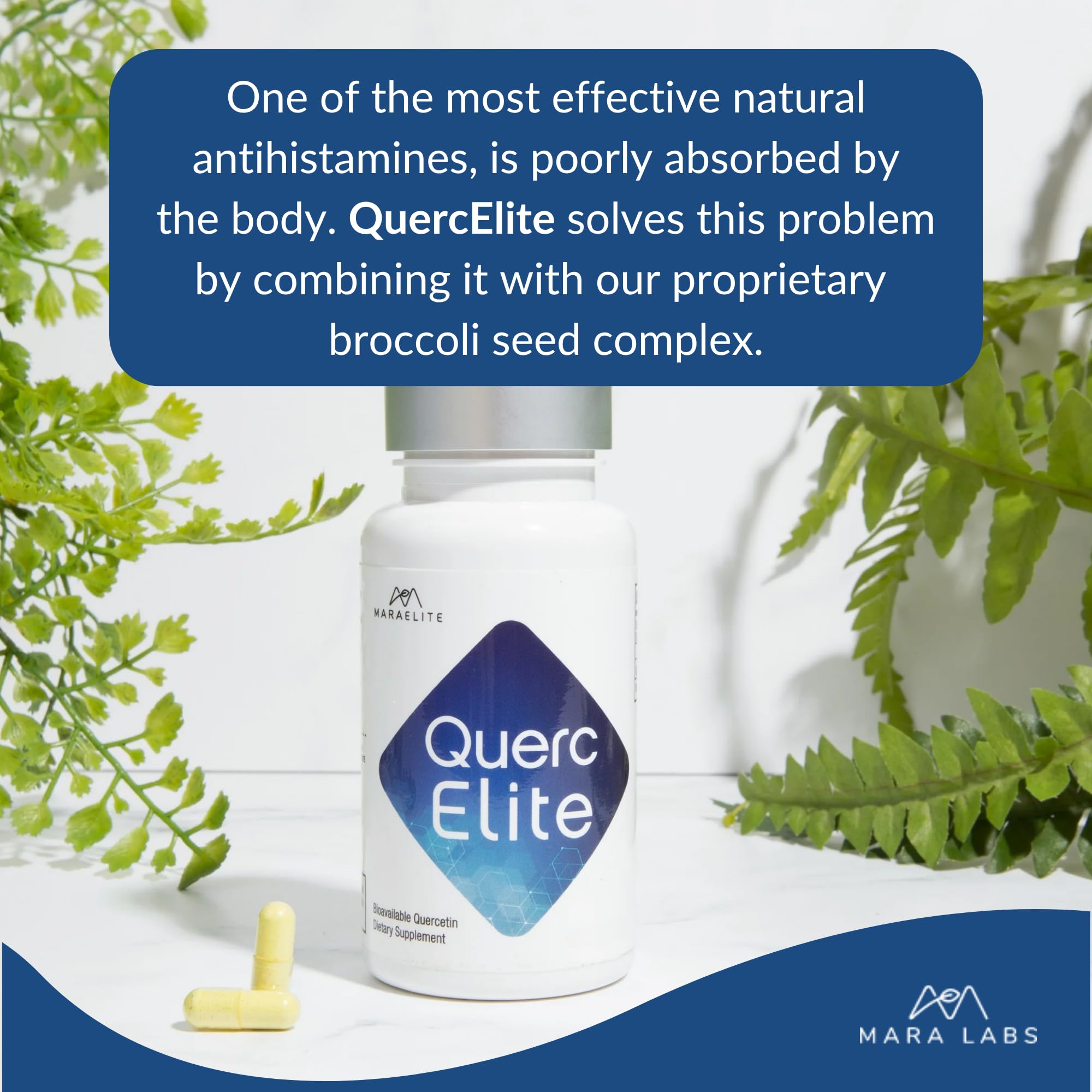 BrocElite Mara Labs QuercElite Bioavailable Quercetin | 30 Vegan Caps — Amazon image 4