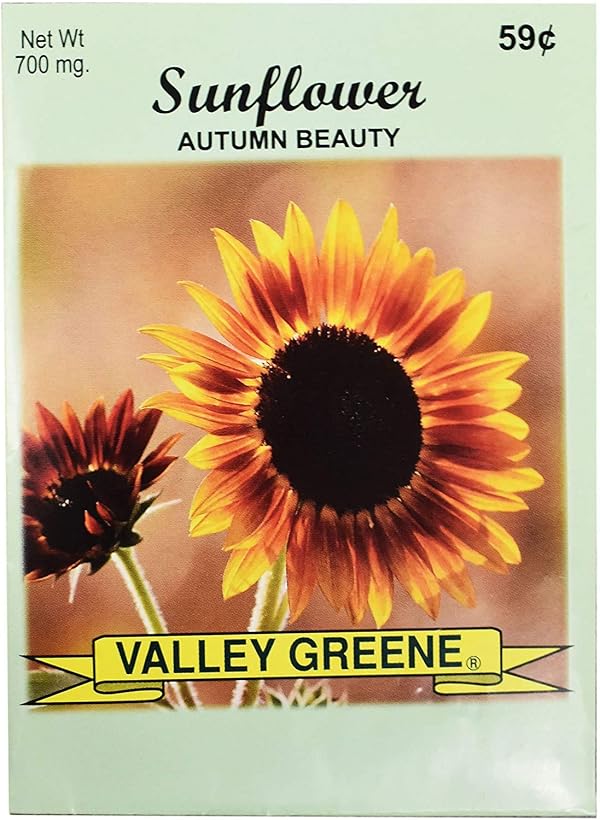 Set of Flower Seed Packets! Flower Seeds in Bulk - Great for Creating the Garden of Your Dreams! (50, Autumn Beauty Sunflower) by Black Duck Brand - Used condition - US$21.08