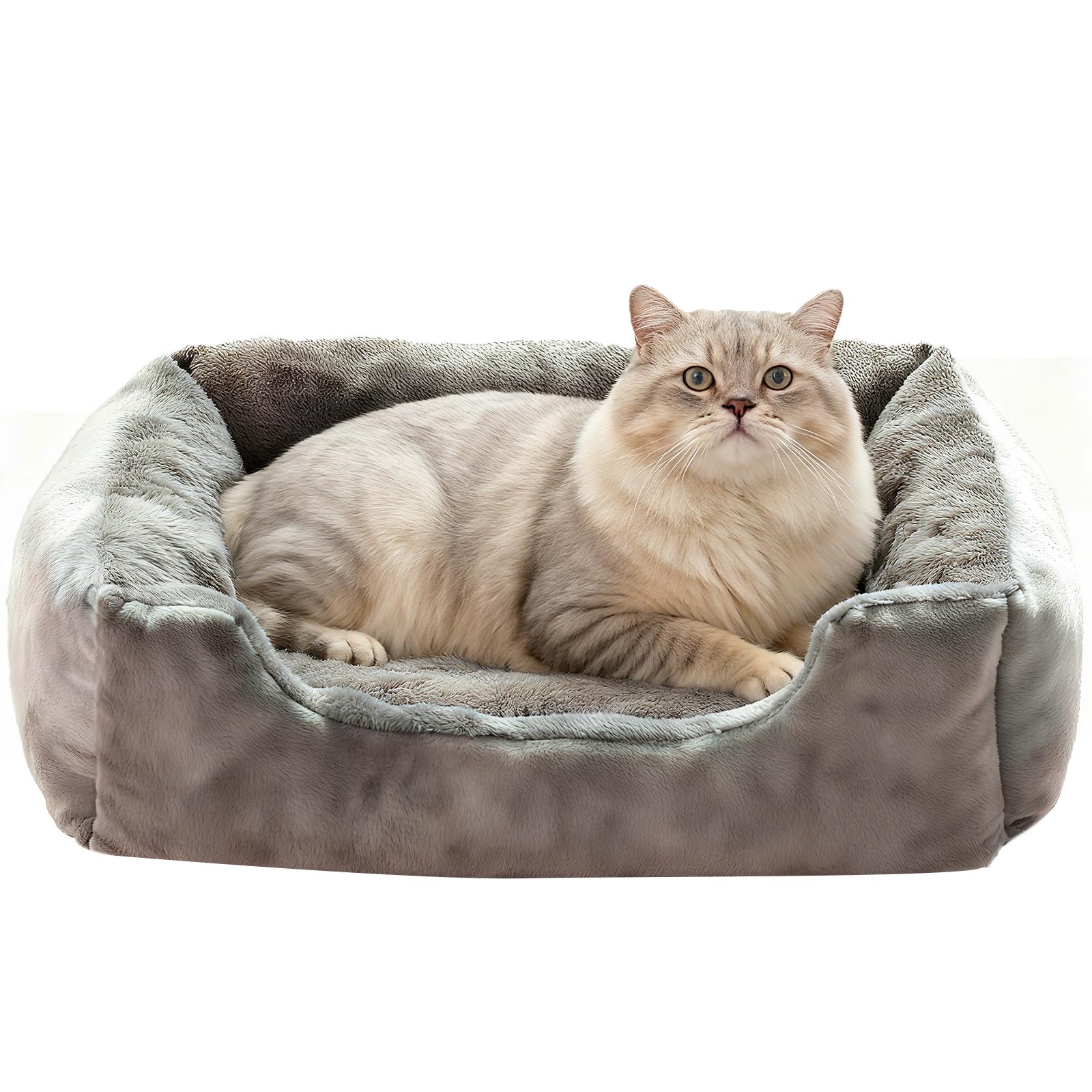 Hollypet Kattenbed, klein hondenbed, huisdierbed voor katten en puppy, zacht huisdierslaapbed, ademend huisdierkussen, grijs (55 x 45 x 15 cm Hollypet Kattenbed, klein hondenbed, huisdierbed voor katten en puppy, zacht huisdierslaapbed, ademend huisdierkussen, grijs (55 x 45 x 15 cm