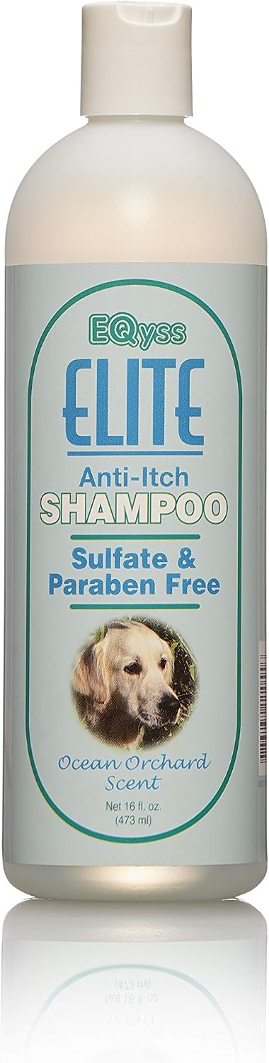 EQyss Elite Anti-Itch Pet Shampoo - Anti-Itch Shampoo Fortified with Aloe for Immediate Relief. 16 oz