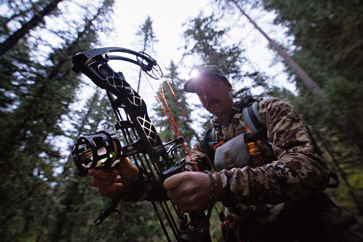 Amazon.co.jp: PRINCETON LEDヘッドライト VIZZ