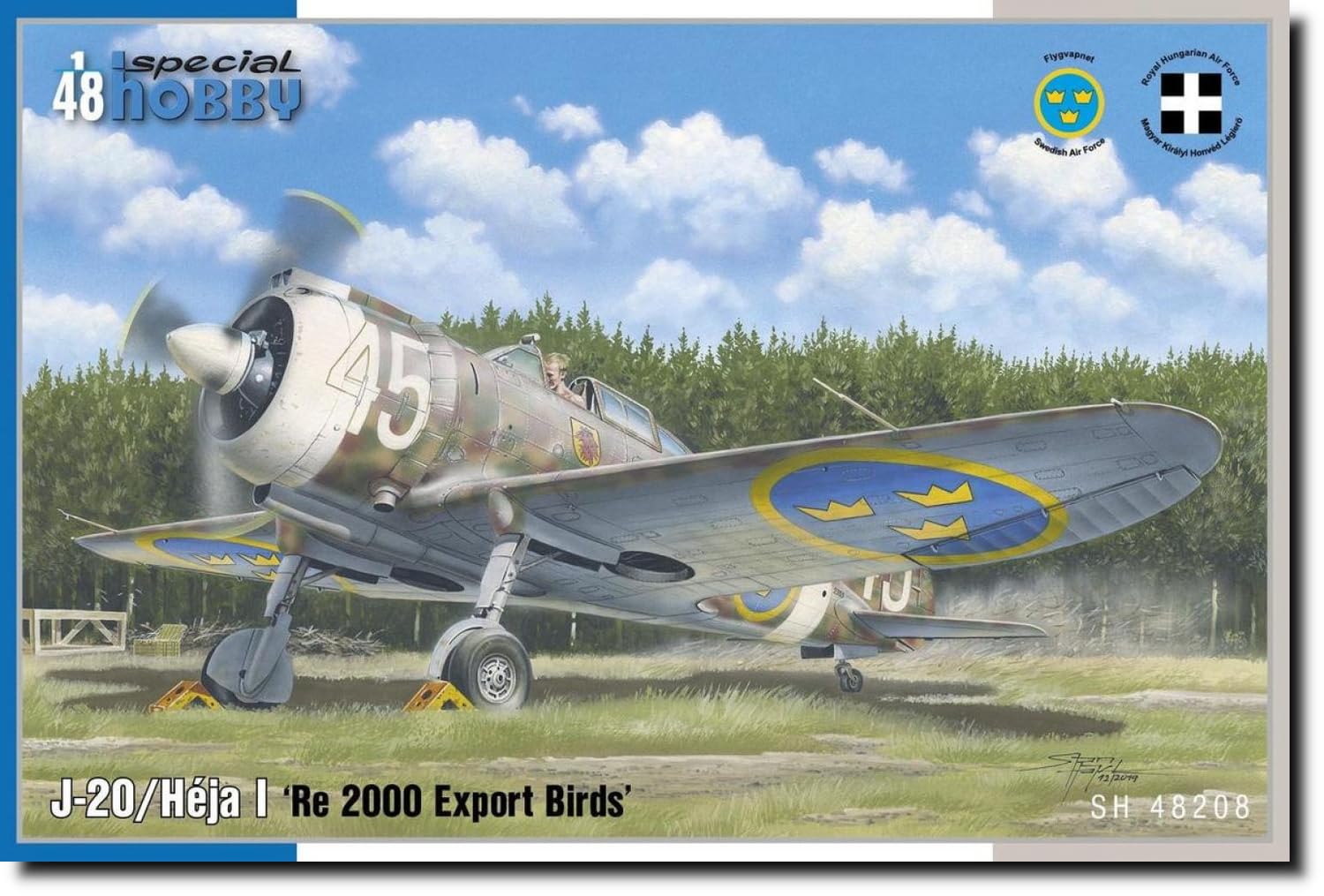 Maquette J-20 Sweden Special Hobby 1/48 version export - 8