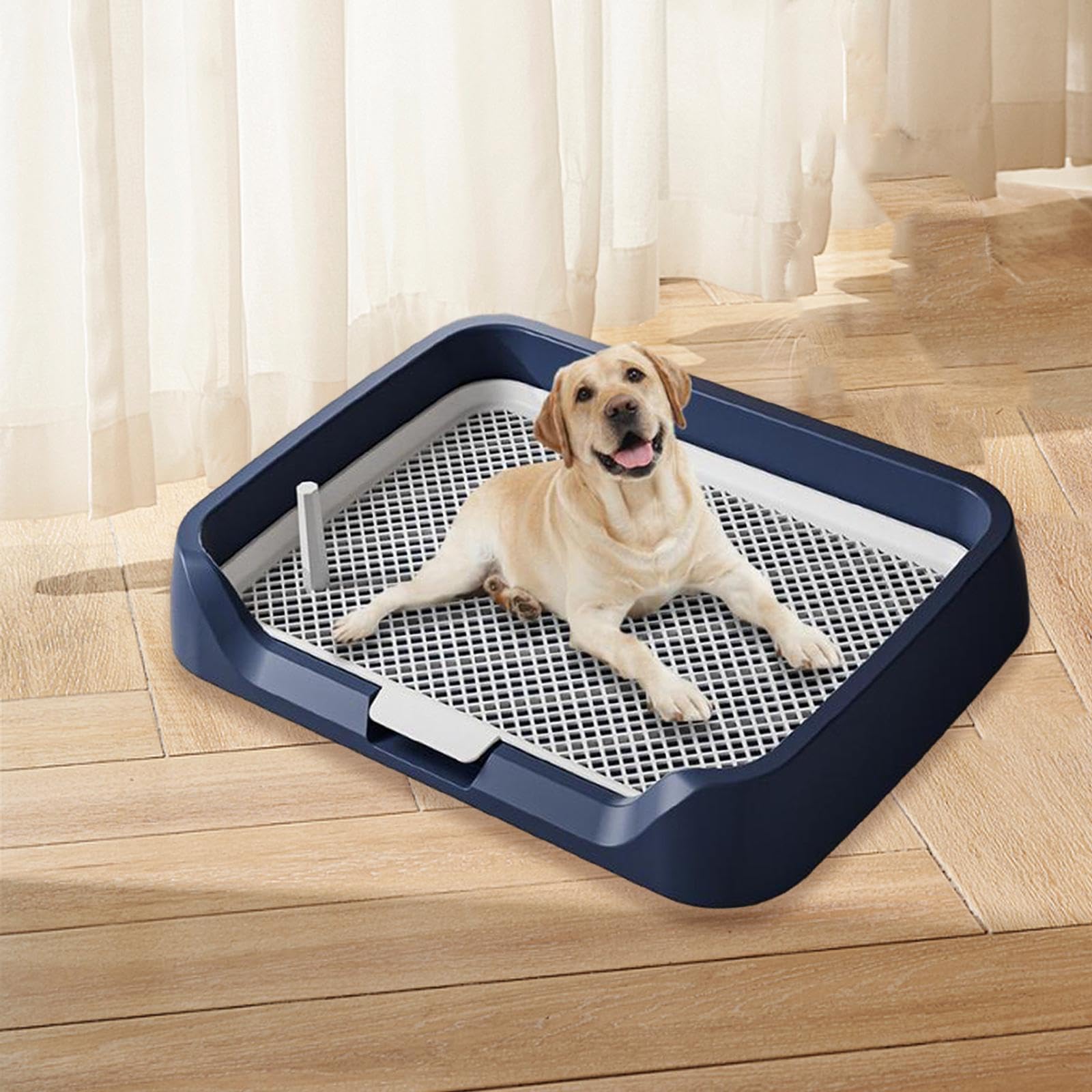 Sharplace Plateau de Pot d'intérieur pour Chien, en Maille, pour entraînement, Toilettes, Support réutilisable pour Pipi, pour Grands Chiots, Petits Chiens et, Bleu