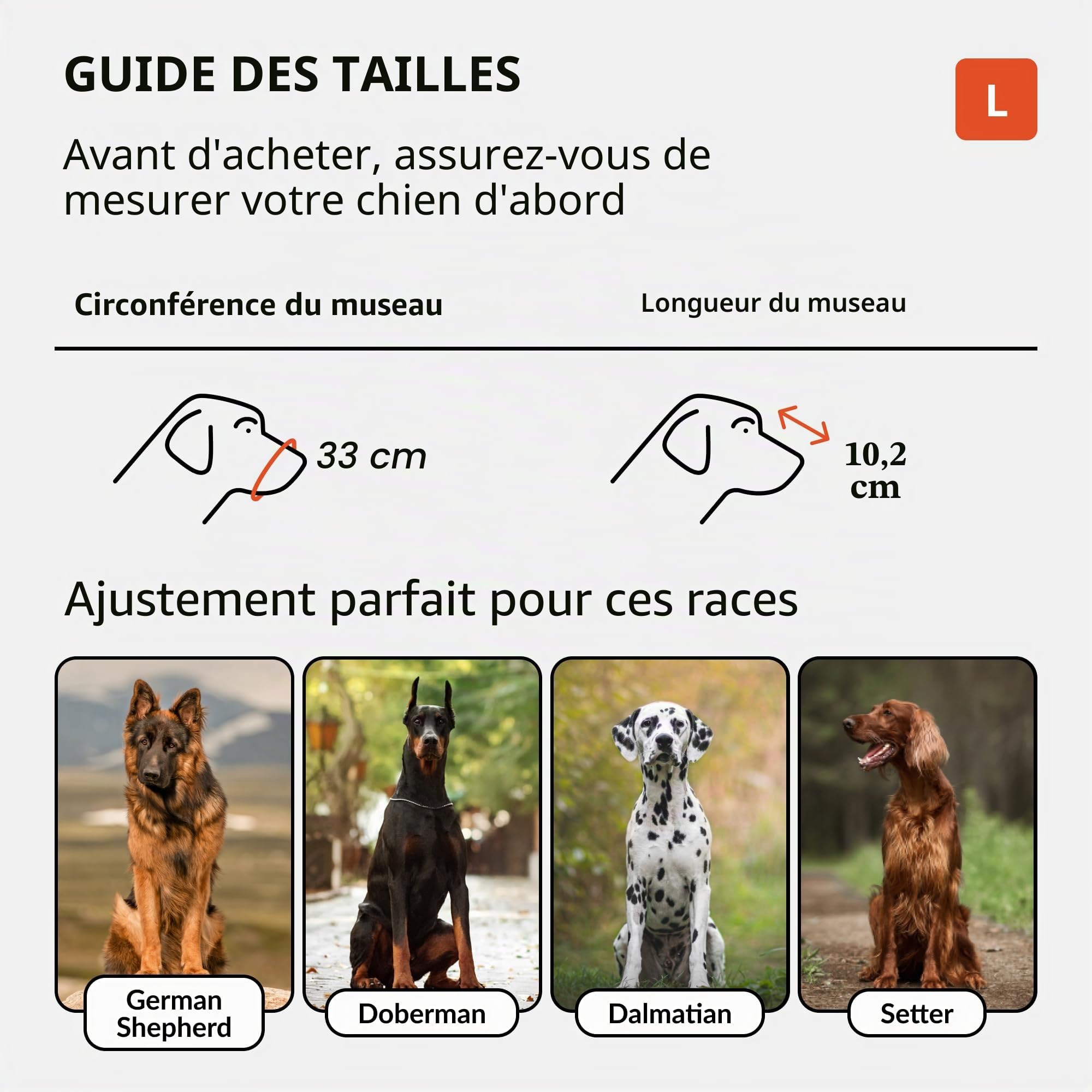 CollarDirect Muselière pour Chien Berger Allemand Dalmatien Doberman Setter Panier en Cuir Medium Large Breeds Black Brown (L, Black)