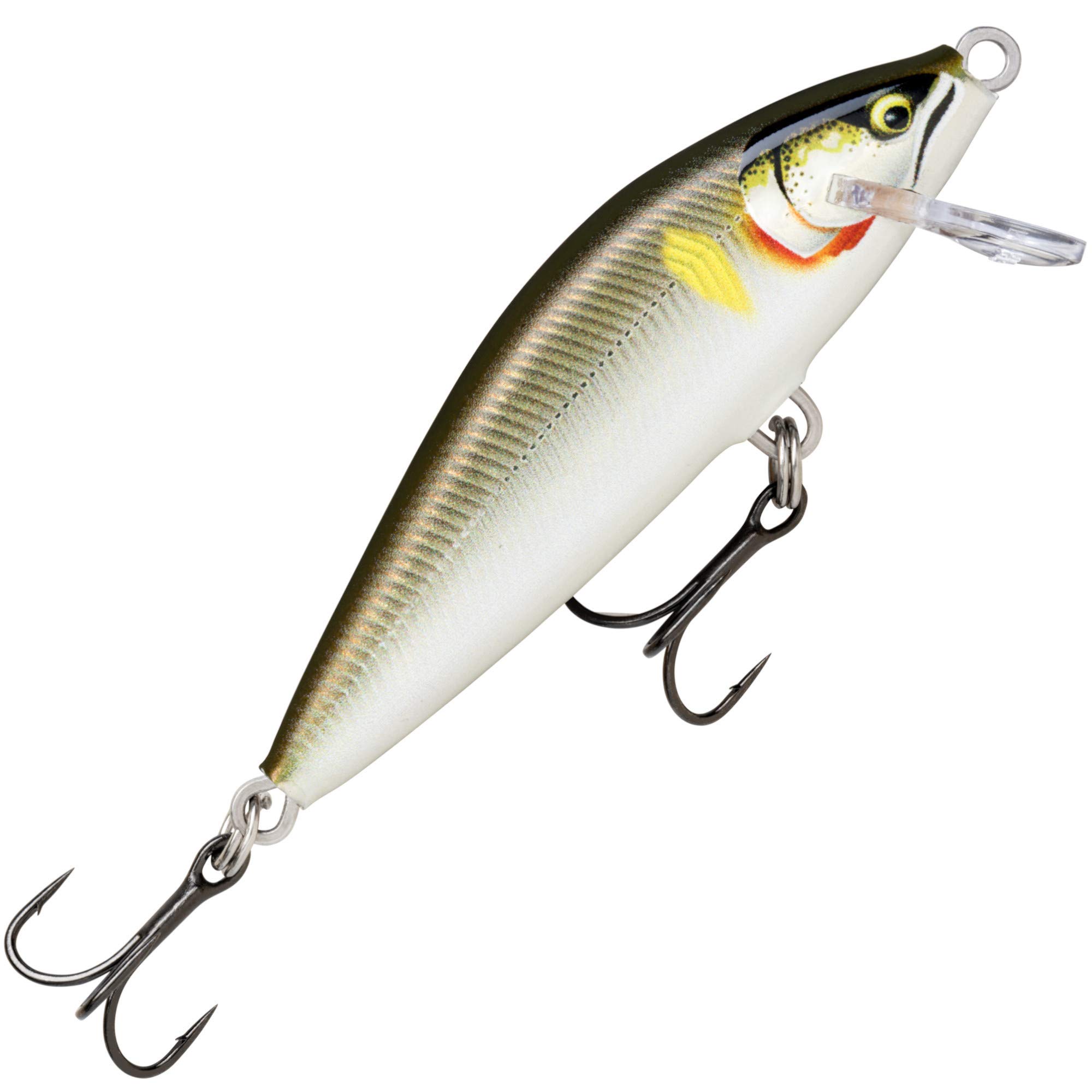 Amazon.com: Rapala Countdown Elite CDE55 GDAY Gildan Ayu : Sports