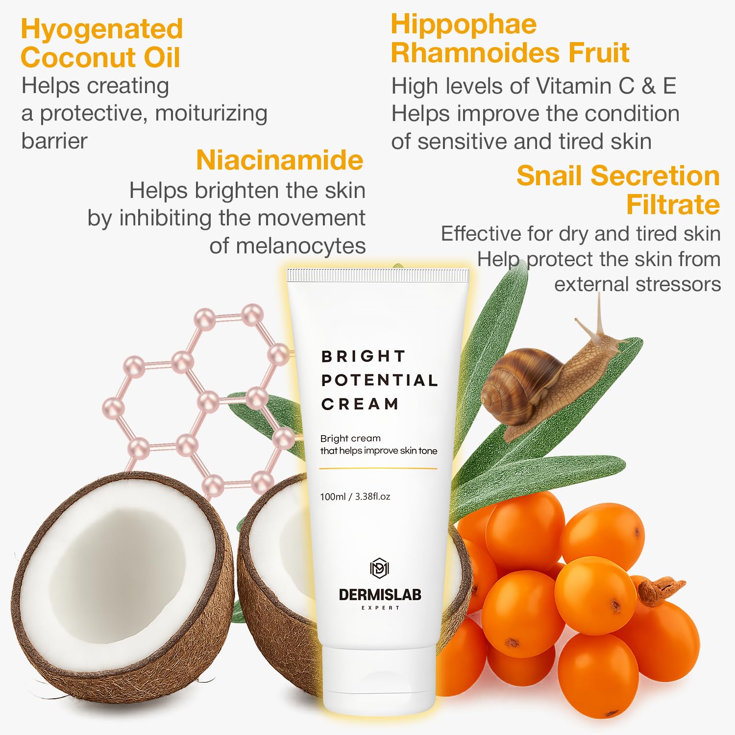 Bright Potential Cream – Lightweight Brightening Moisturizer for Radiant, Even-Toned Skin | Hydrating Daily Face Cream 100 ml / 3.38 oz - Image 4