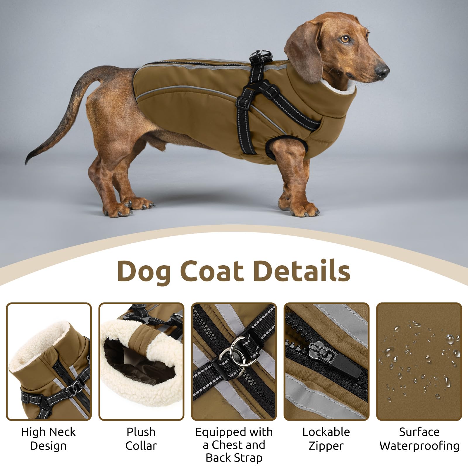 CITÉTOILE Manteau Imperméable pour Chien avec Doublure Polaire, Réflecteur, Harnais, Col Chaud, Brun, S