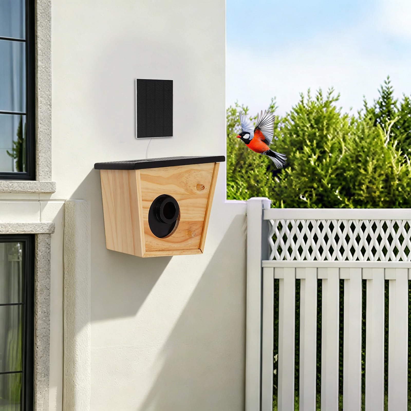 Vogelhaus mit Kamera Solarbetrieben aus Holz IP65 4400mAh