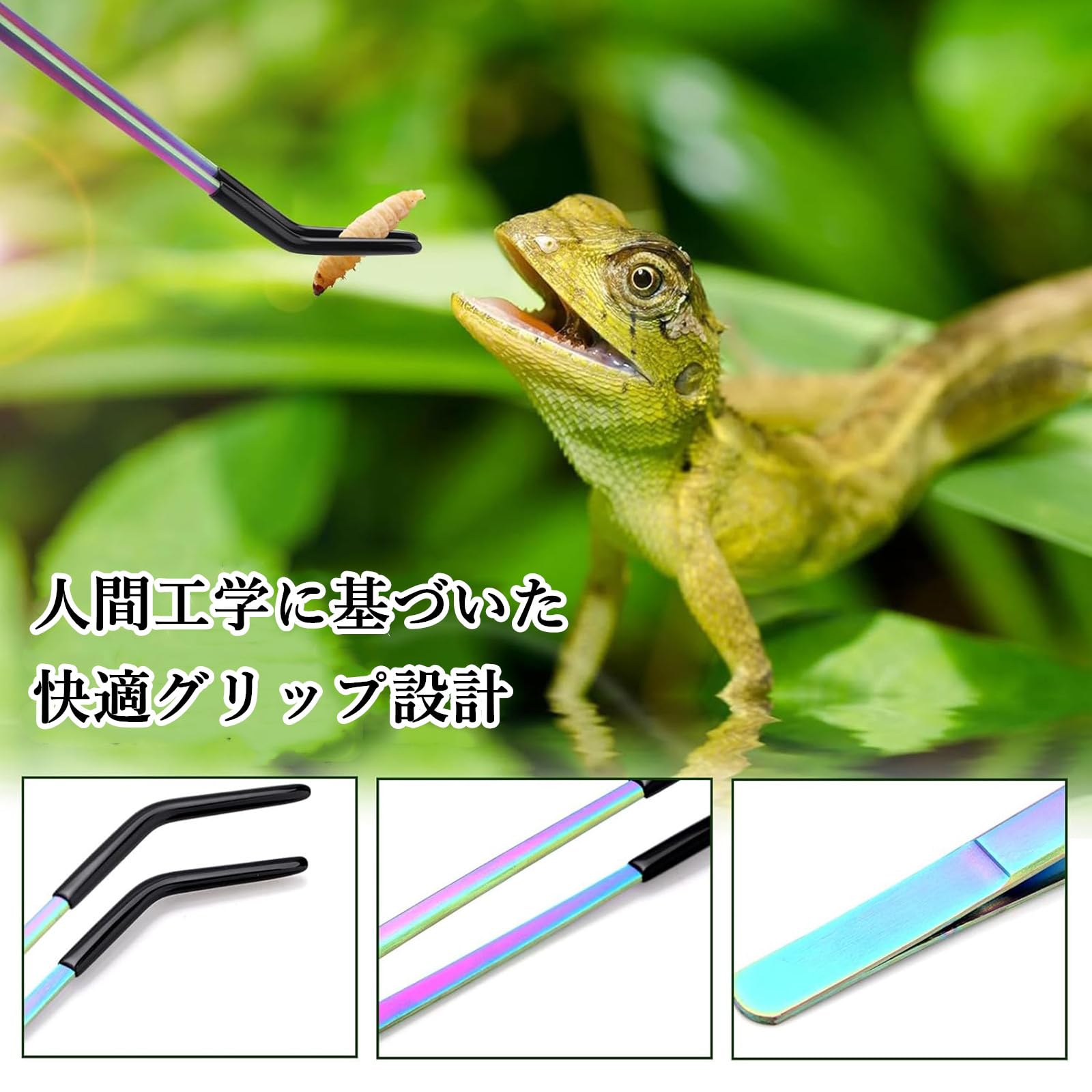 爬虫類用給餌トング ステンレス製トング 2本セット Amazon.co.jp: 爬虫類用給餌トング、ヘビ用給餌トング