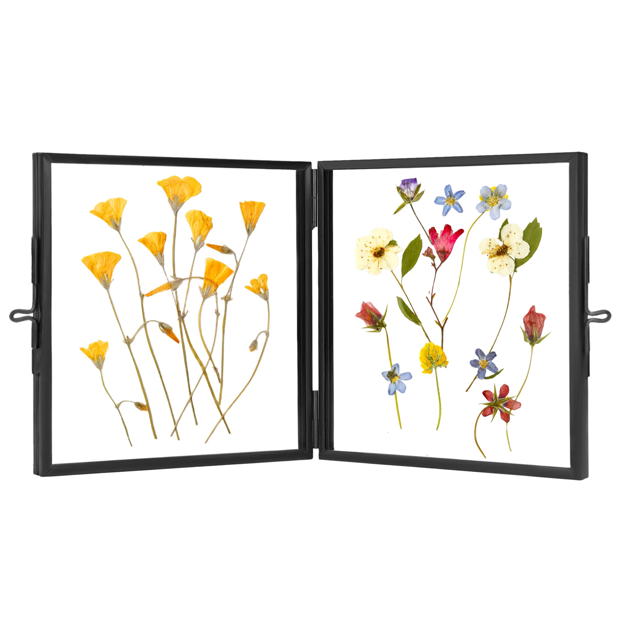 REDHUGODouble Glass Picture Frame Handmade, Glass Pressed Flower Frame, Hinged Brass Picture Frame Tabletop Photo Frames, Dried Flower Display Folding Frame for Home, Square, Black, 4×6 Inches