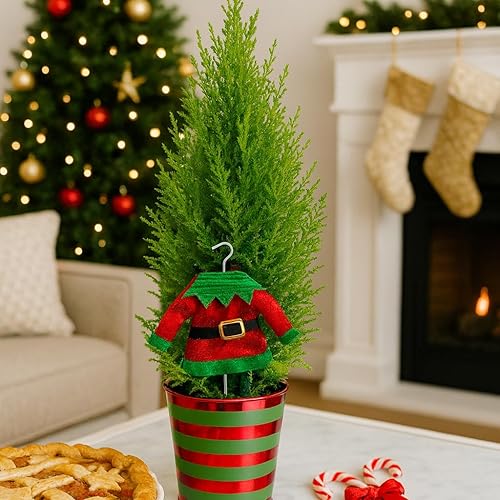 Miniatura 6 de Cono de ciprés de limón vivo de 4 pulgadas con elfo Ideas de decoración de árbol de vacaciones 2025, regalo de Navidad para mujeres y hombres