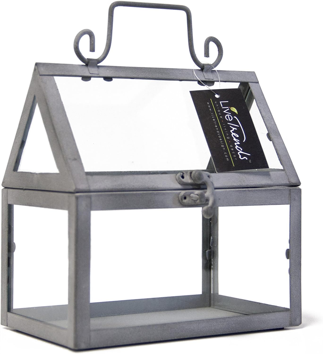 LTE Decorative Glass Terrarium