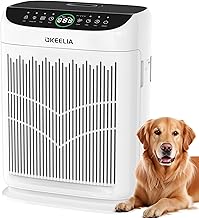 Air Purifiers for Home Large Room Up to 3000 Ft² with Washable Filters,AKEELIA HEPA Double-Sided Air Purifier with PM2.5 A...