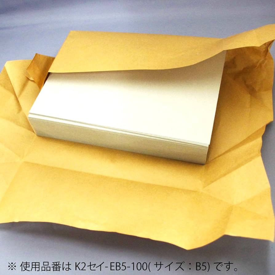 Amazon | コクヨ(KOKUYO) ファイル 板目表紙 K2 A4 100枚 K2セイ