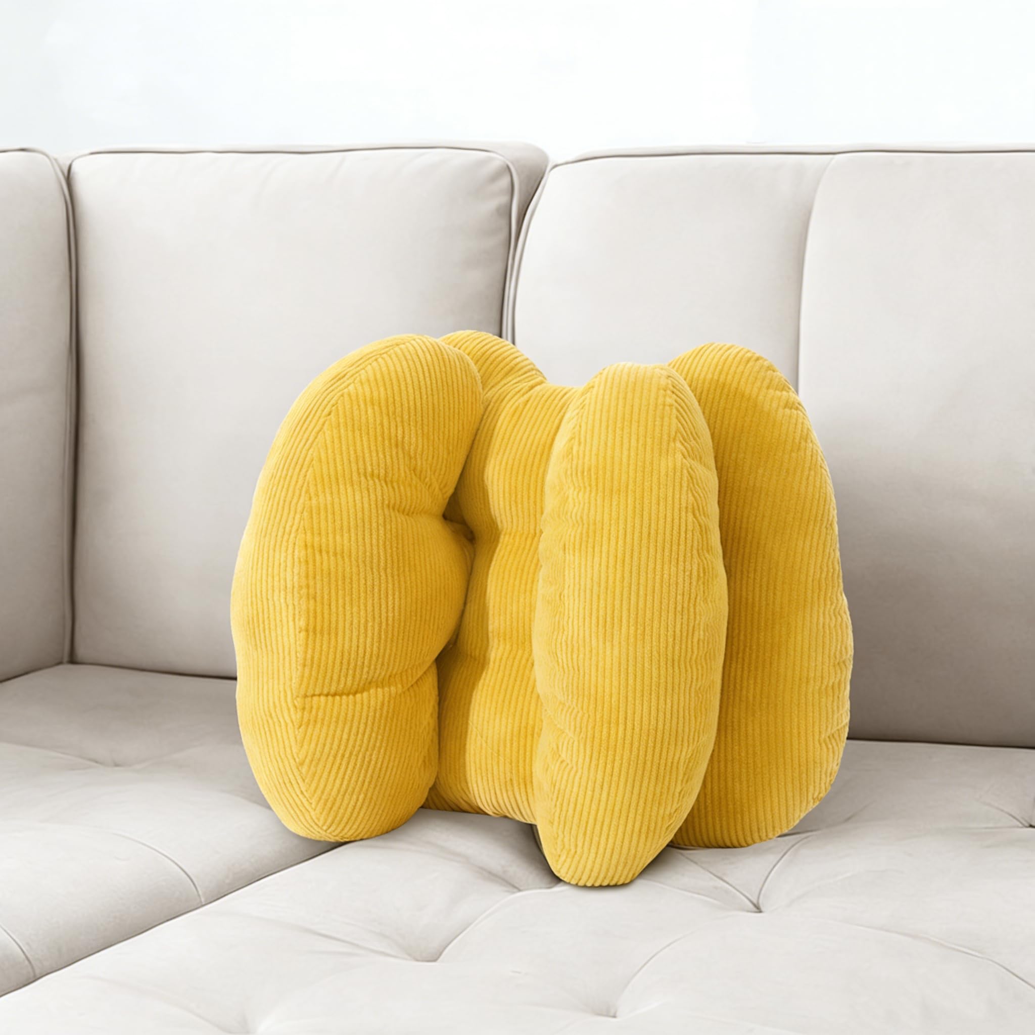 Photo 1 of ** pillows are dirty **
TEXSTEAD Lumbar Support Pillow, Three Sides Back Support Pillow for Chair/Recliner/Couch/Sofa/Bed, Lower Back Pain Relief Cushion for Sitting (Yellow)