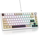 75 Percent Keyboard Gasket-Mounted with Sound Absorbing Pads, 82-Key Compact Wired RGB Mechanical Gaming Keyboard Hot-Swap Socket for Mac/Win, Gray Black White