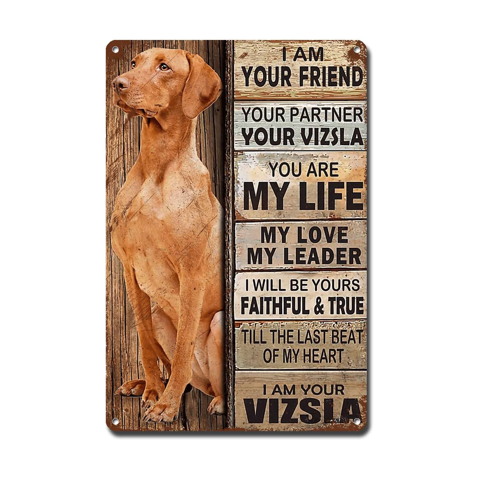 Tin Vizsla poster