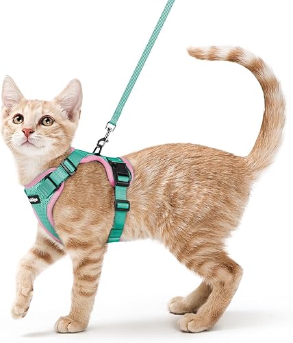 Miniatura 83 de rabbitgoo Cat Harness and Leash for Walking, Escape Proof Soft Adjustable Vest Harnesses for Cats, Easy Control Breathable Reflective Strips Jacket