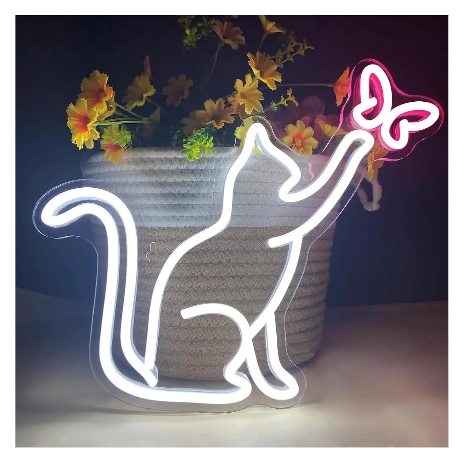 Generico Per la decorazione della festa del segno al neon Gatto per il per alimentato