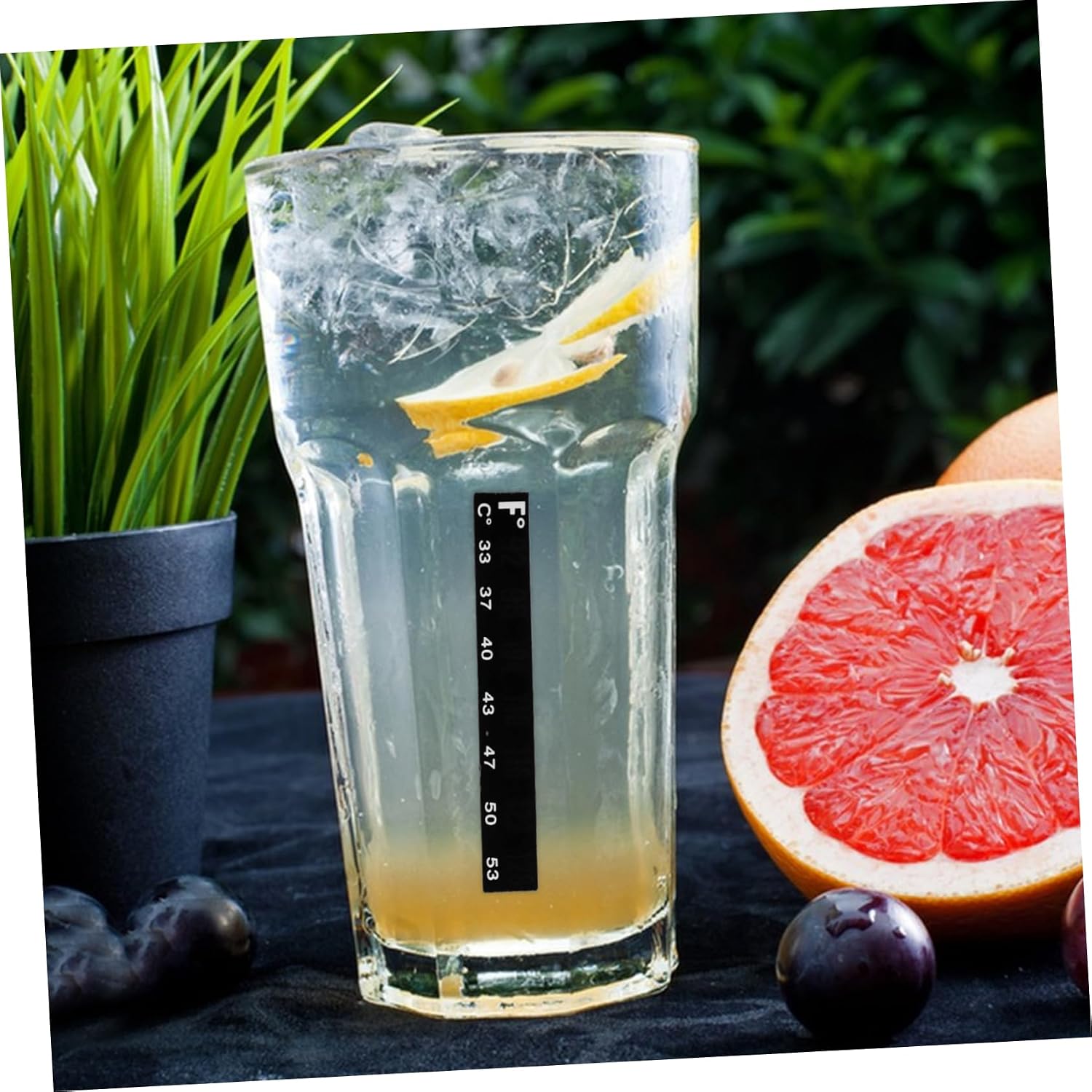 10pcs Wine Brewing Thermometer Sticker for Fish Tank Monitoring