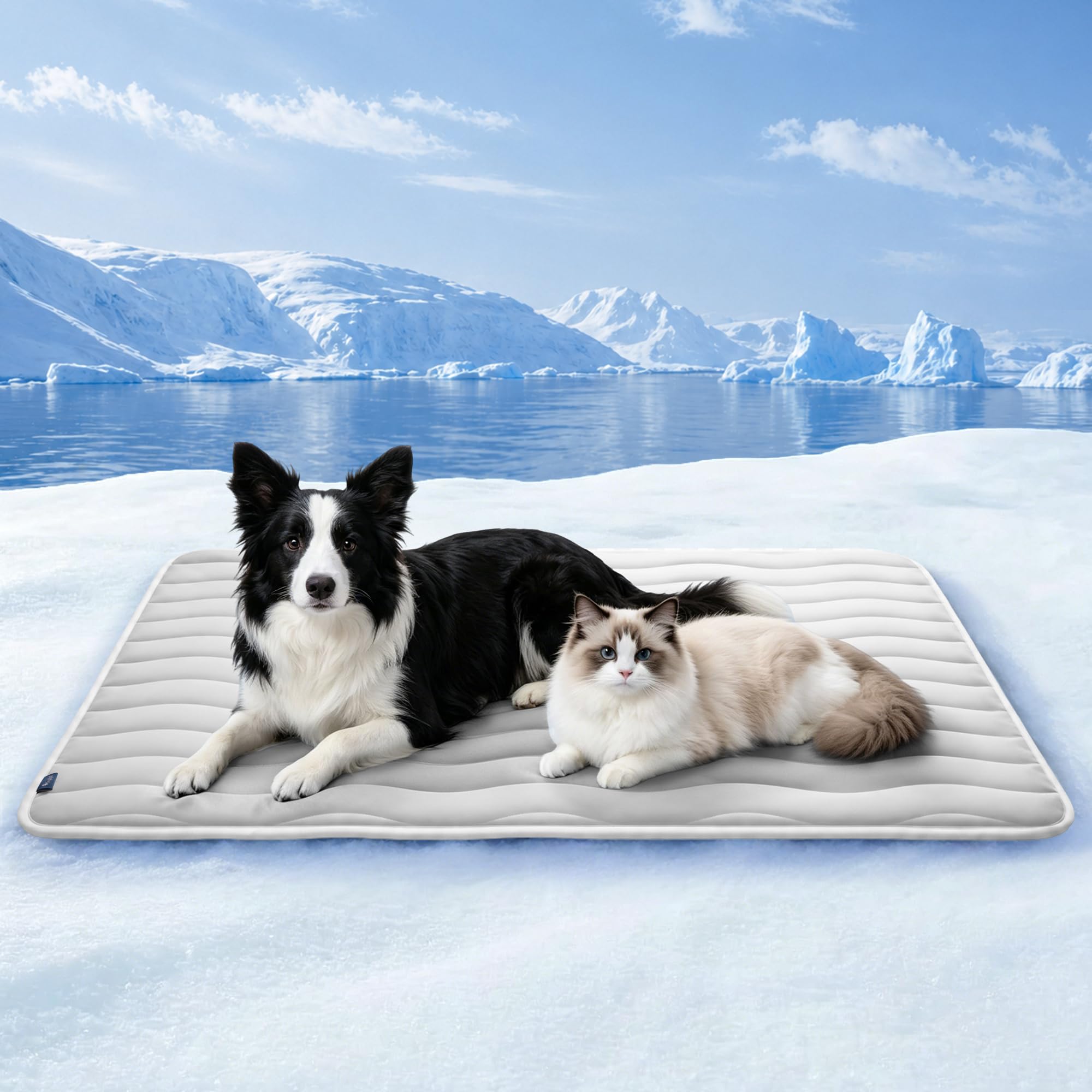 Tapis rafraîchissant chien pour voiture et cage de transport Angelpet