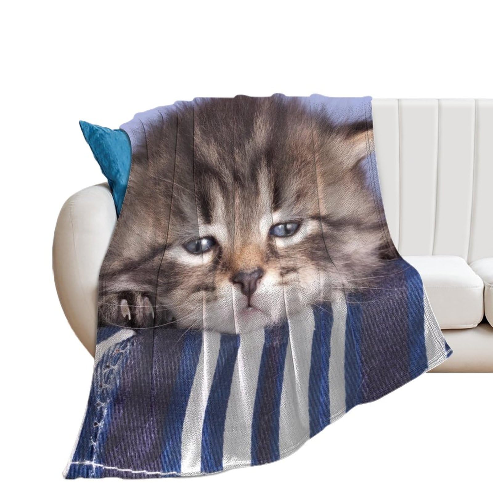 Couverture polaire chaton et plaid flanelle pour des nuits douces