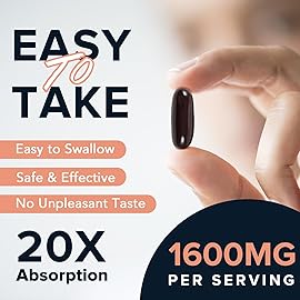 1600 mg Liposomal NAD Supplement, 98% Pure NAD+ Supplement, Superior Absorption, Alternative to Nicotinamide Riboside or NADH to Boost NAD+ for Aging Defense, Energy, Longevity, 480 Softgels