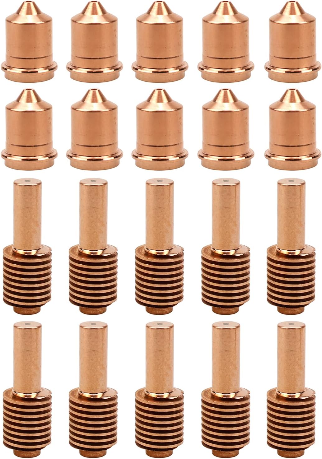 ベストセラー 【真作】坂本楽山人/蓬莱山図/祝事山水図/横物/掛軸