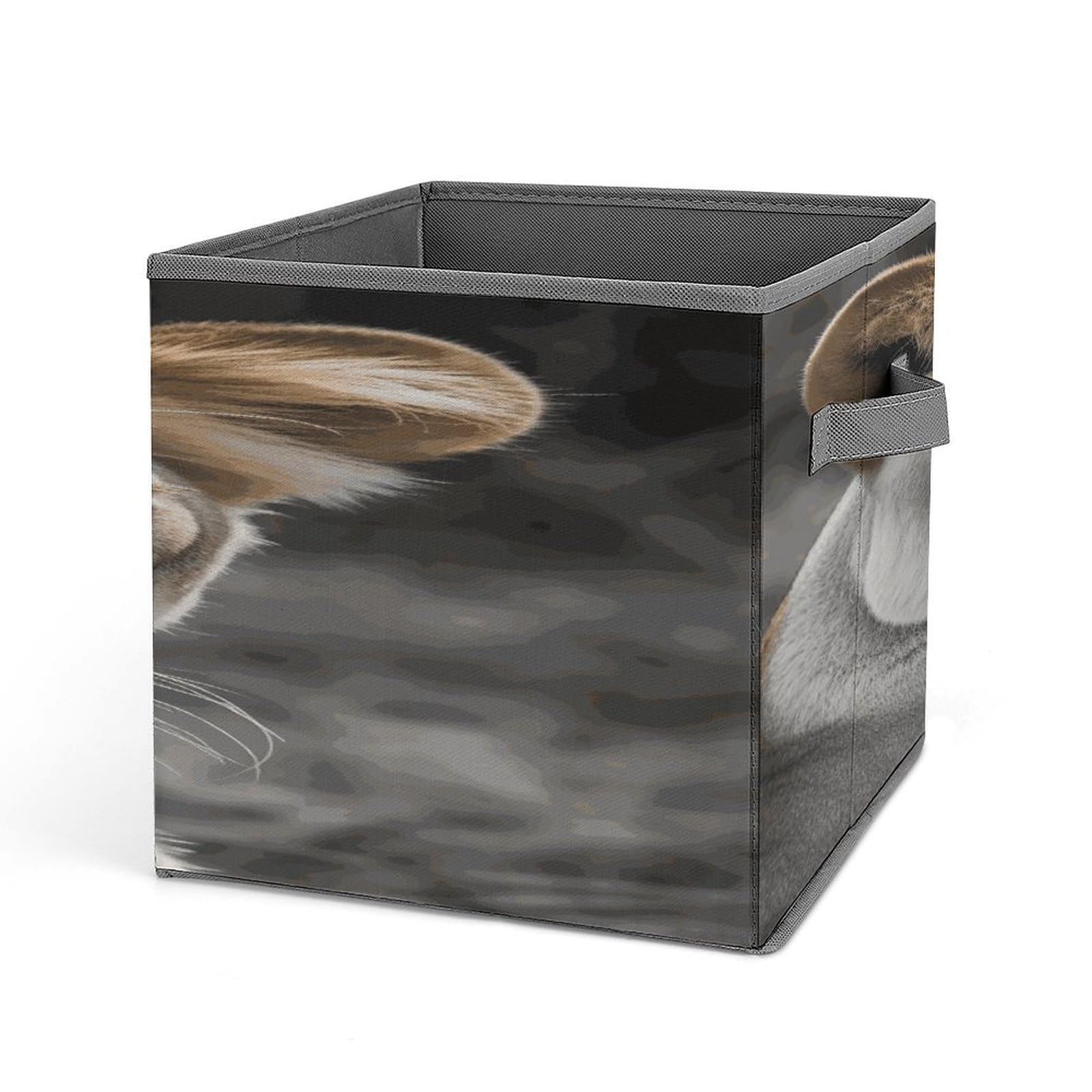 Fekiloot Style Lioness With Blue Green Eyes Storage Bins Storage Baskets