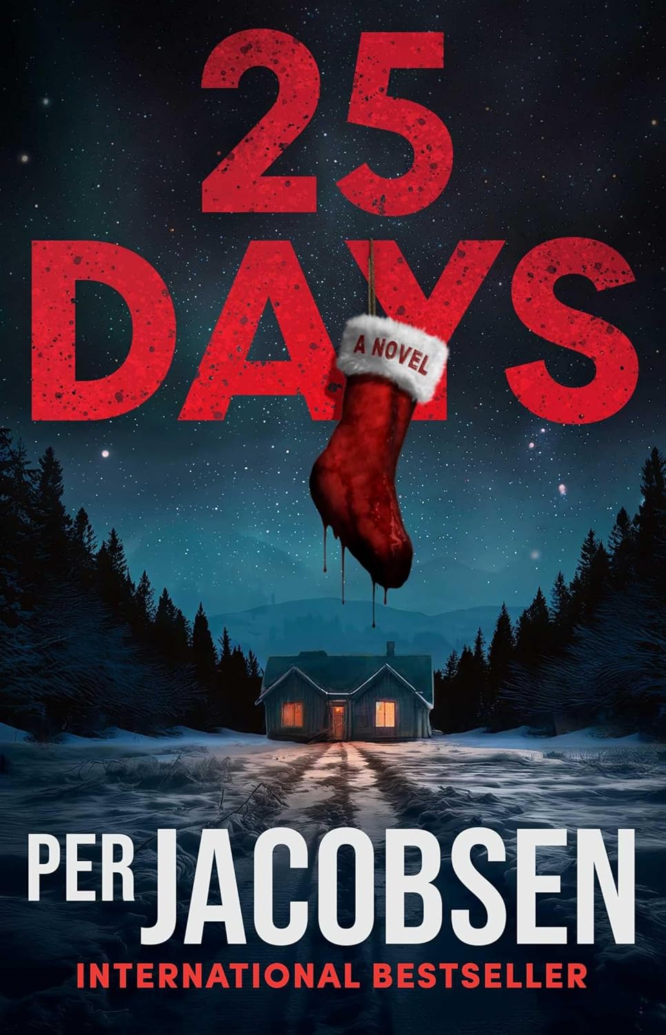 25 Days: A Novel      Paperback – September 30, 2025