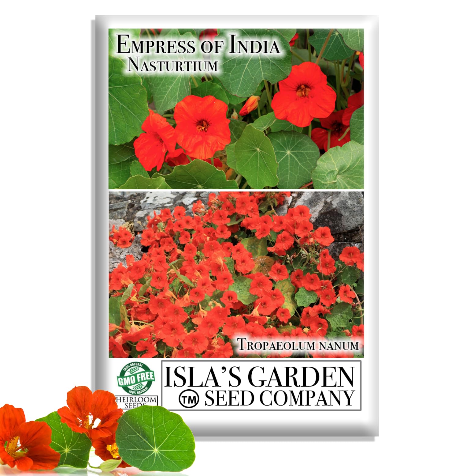 Amazon.com : Empress of India, Nasturtium Seeds for Planting - 50+ Flower  Seeds Per Packet, (Isla's Garden Seeds), Non-GMO & Heirloom, Botanical Name;  Tropaeolum nanum : Patio, Lawn & Garden