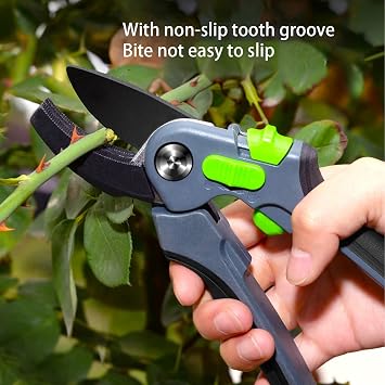 Fruit Tree Pruning, Garden Shears Premium Scissors Clippers with Safety Locking Spring Nonslip Tooth Grooves Labor Saving