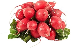Radish Seeds, 500+ Cherry Belle, Heirloom, Non-GMO Seeds, Raphanus sativus.