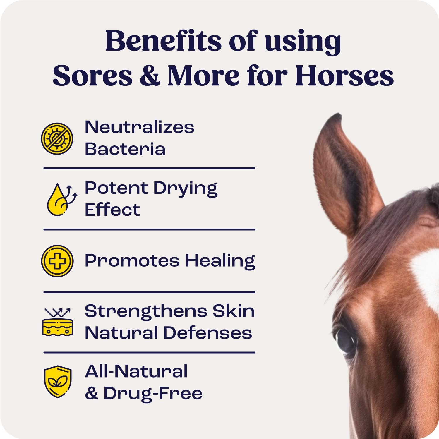 Summit Equine Sores & More Spray – All-Natural Horse Wound Care, Skin Repair & Itch Relief – Safe for Daily Use on Horses & All Animals – Non-Toxic, Steroid-Free, 4oz