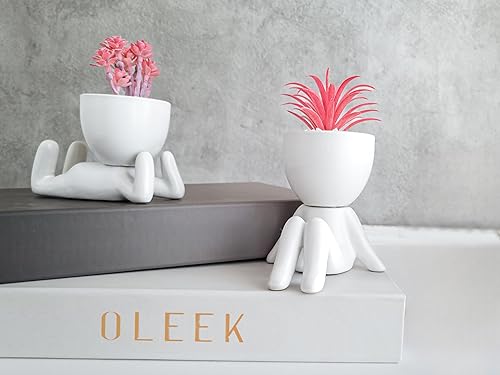 Miniatura 2 de OLEEK Pequeñas plantas falsas para decoración de estantes, regalo rosa, bonita decoración de oficina para mujeres, decoraciones de oficina para