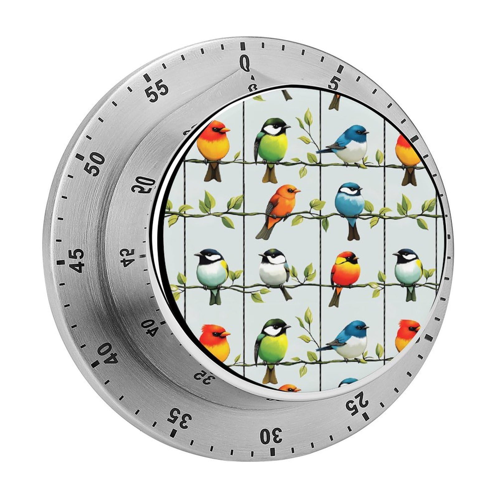 Colorful Birds Branch Pattern 60 Minute Wind Up Timer,Visual Mechanical Magnetic Timer with Loud Alarm for Kitchen
