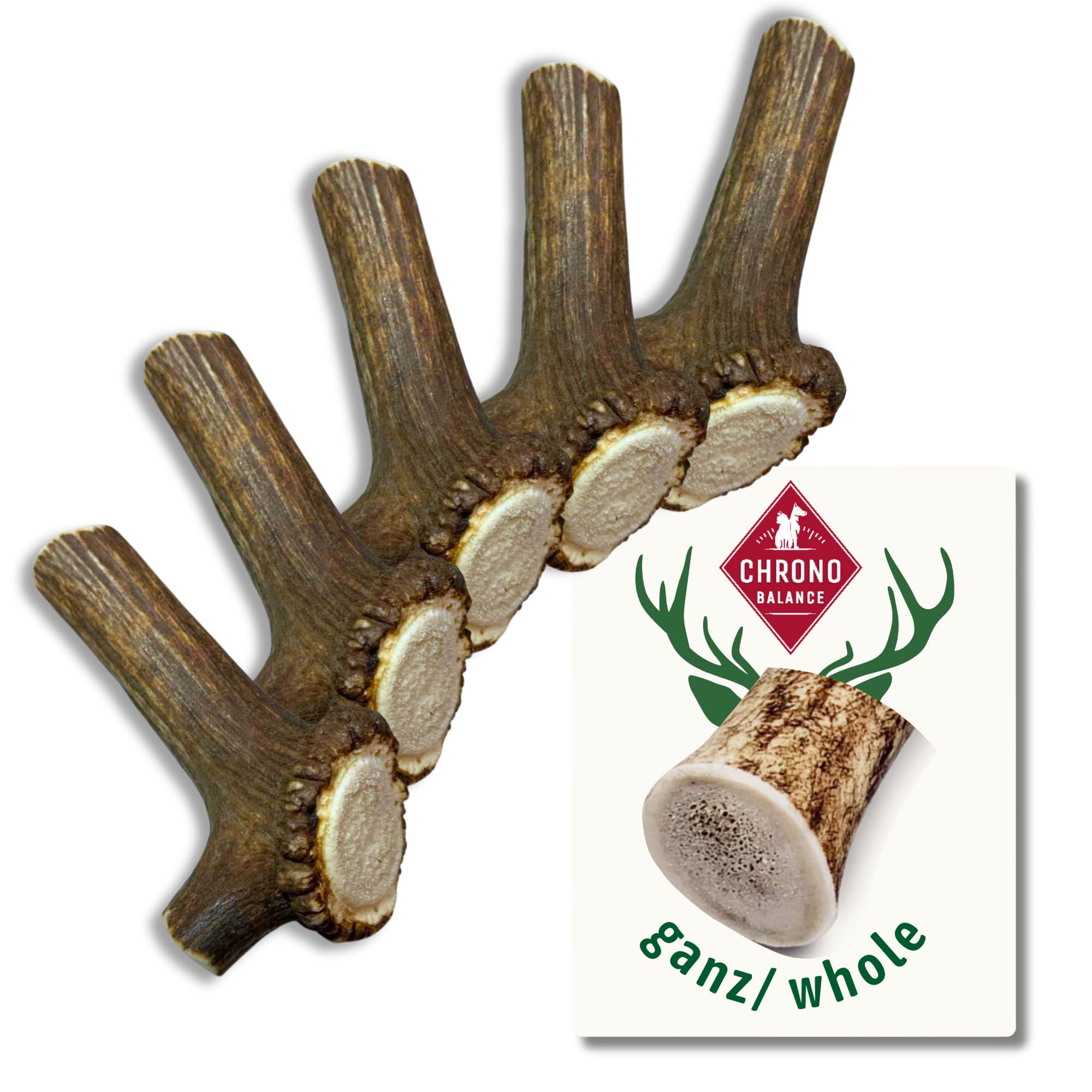 ChronoBalance® Stick L (zestaw 5) gryzaki dla psów do żucia dla psów: Naturalna zabawka do żucia, w 100% gryzaki dla psów do żucia, sprzyjają higienie jamy ustnej, bez dodatków, trwałość