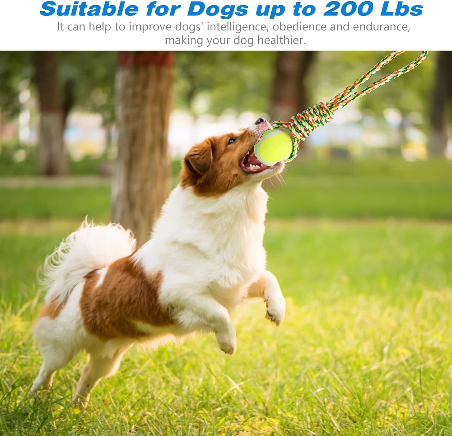 Spring Pole Dog Rope Toys, interaktywne wiszące zabawki dla psów Bungee dla średnich i dużych psów 16,4 stopy, wiszące na zewnątrz liny do ćwiczeń Pull Tug of War Toy Muscle Builder