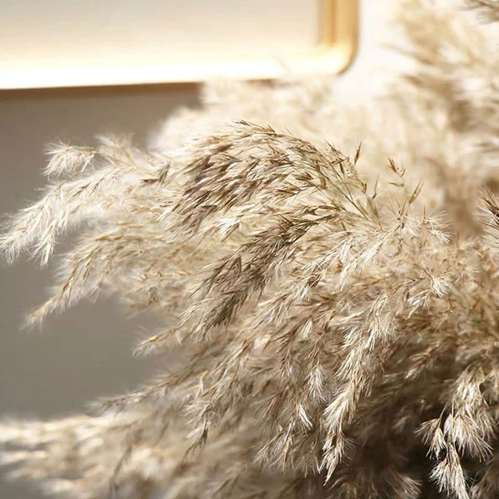 Herbe de Pampa séchée Naturelle Grande, 23 Pouces de Hauteur Wild Pampas Grass Fluffy Pompas Floral, Utilisé pour Le Mariage et la décoration de la Maison Boho Fleurs séchées,Brown-30Stems