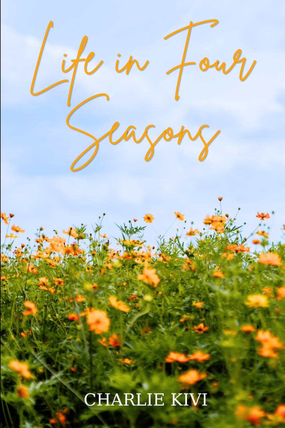 Life in Four Seasons