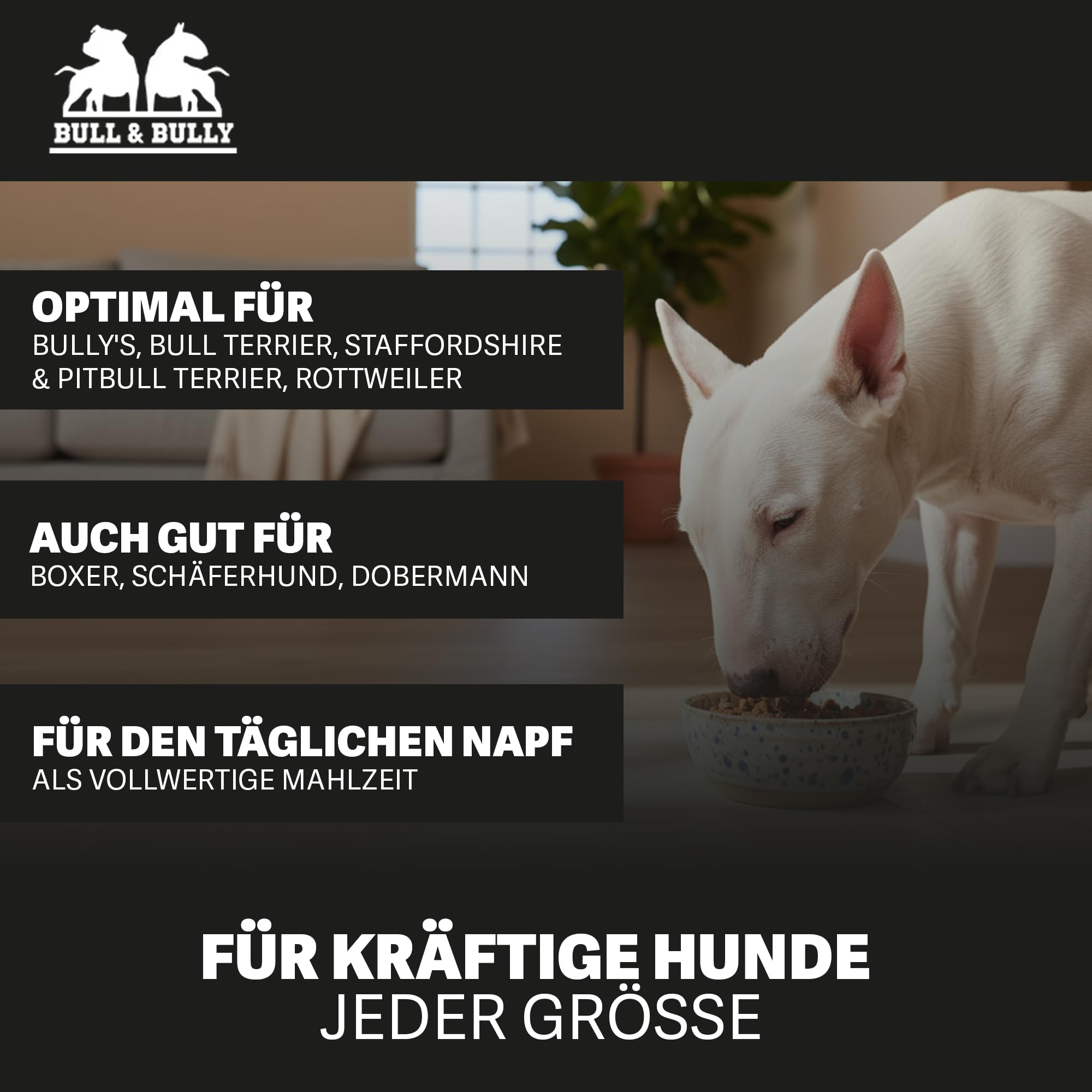 Hundefutter Nass 800g 12x Fleischmahlzeit Rind mit Gemüse