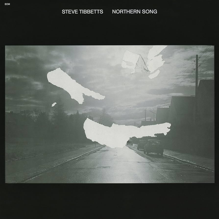 LP Steve Tibbetts Northern Song レコード ECM Steve Tibbetts / Northern Song - silencia music store