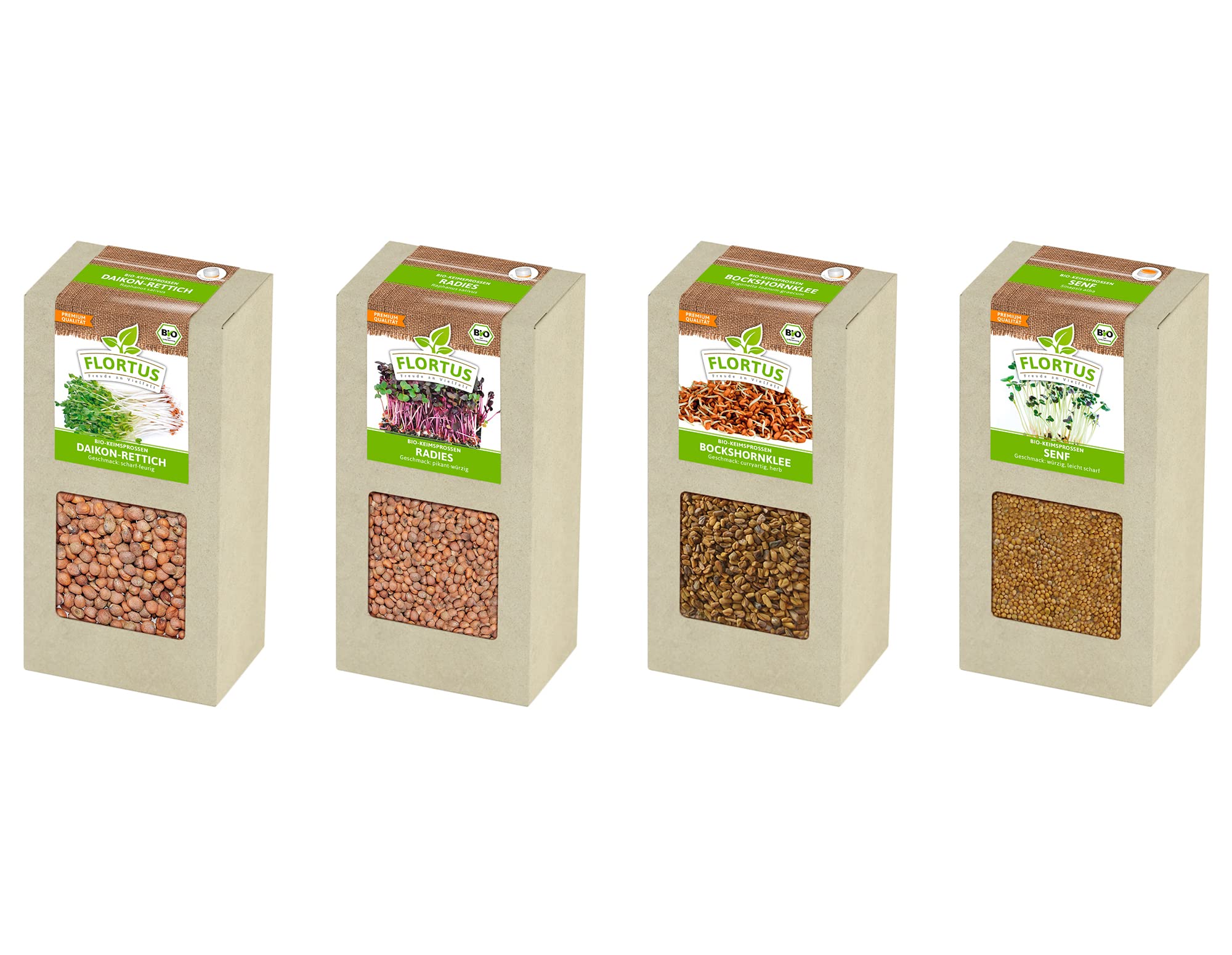 FLORTUS BIO Keimsprossen Archiv Geschenkbox SCHARF - inkl. 4 Sprossensorten | Daikon-Rettich, Radieschen, Bockshornklee & Senf | Geschenkset mit Sprossenglas | Keimsprossenbox Holzbox mit Deckel