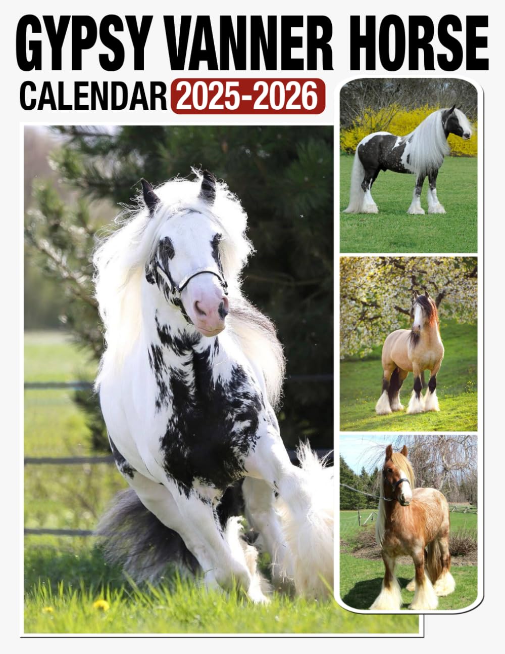 Gypsy Vanner Horse Calendar 2025 2026 Bring Joy and Stay