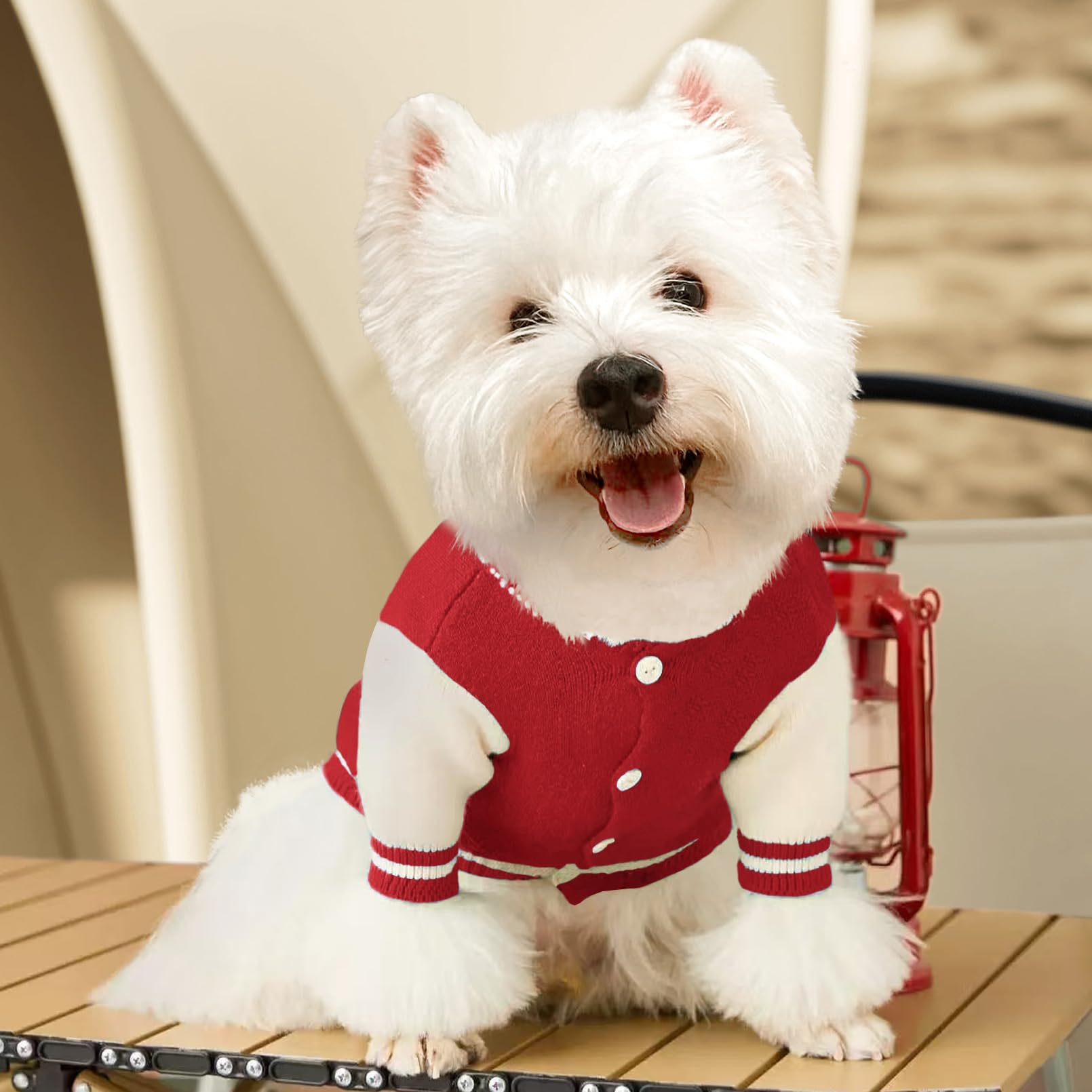 Kleiner Hundepullover, warmer Haustierpullover, niedlicher gestrickter klassischer Hundepullover für kleine Hunde, Katzenpullover, Hunde-Sweatshirt, Kleidung, Mantel, Bekleidung (L)